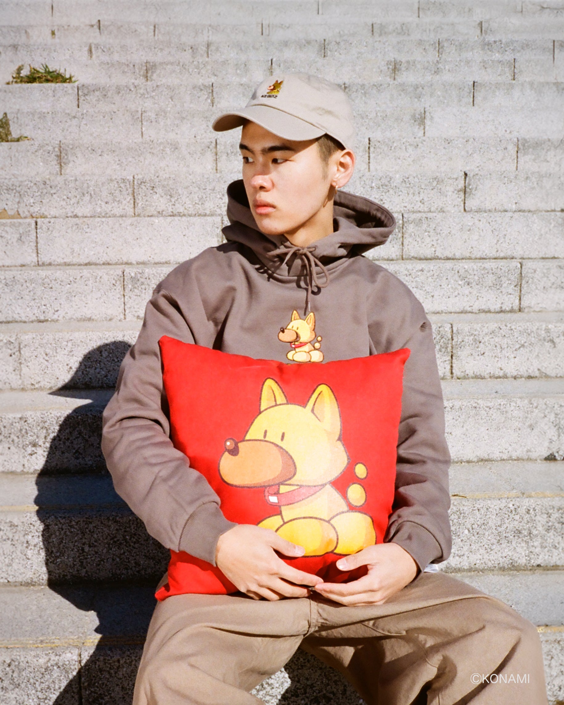 PAWAPURO × KEBOZ GANDER CUSHION