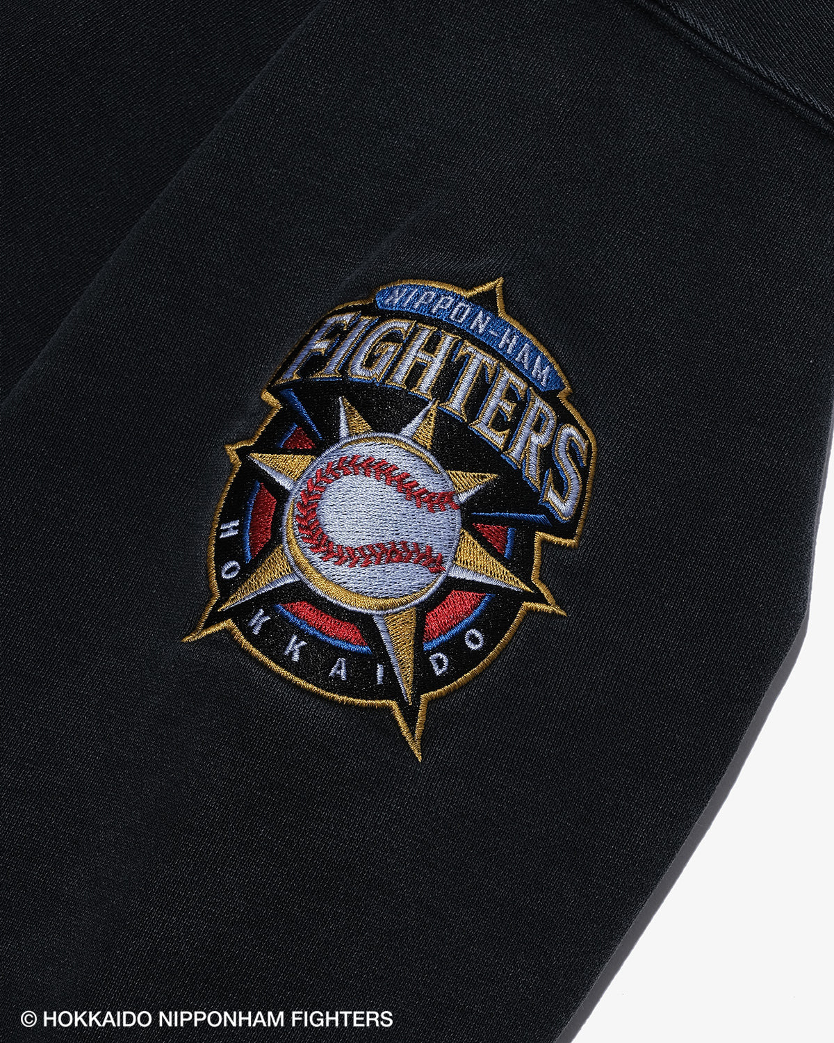 FIGHTERS × KEBOZ OLD F WASHED SWEAT CREWNECK