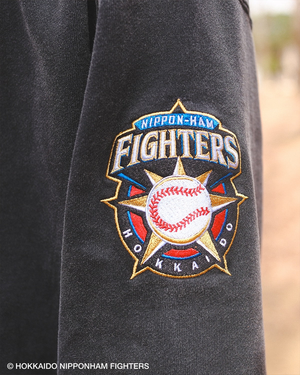 FIGHTERS × KEBOZ OLD F WASHED SWEAT CREWNECK