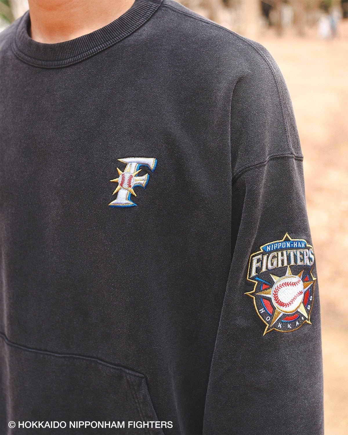 FIGHTERS × KEBOZ OLD F WASHED SWEAT CREWNECK