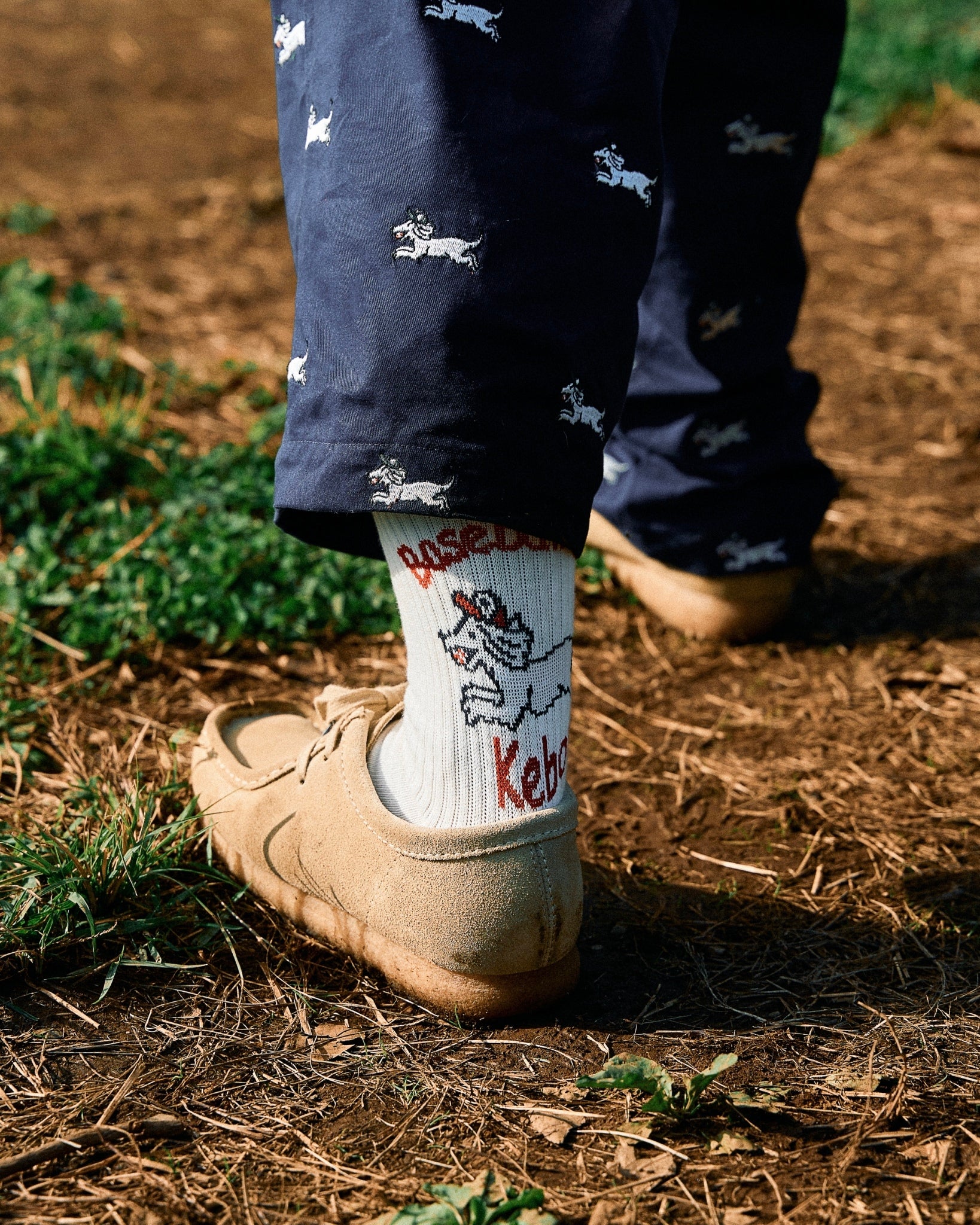 BDR SOCKS