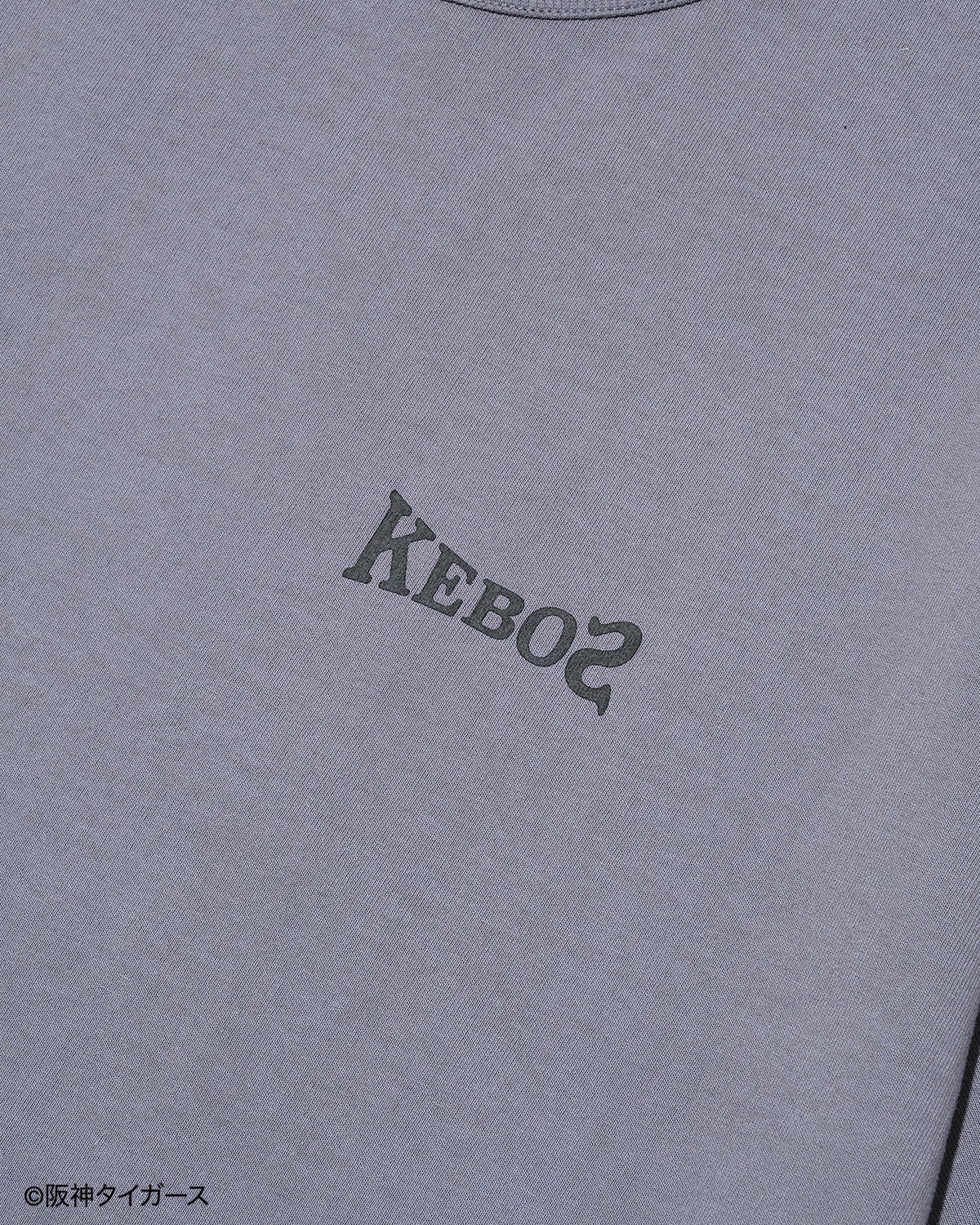 TIGERS × KEBOZ JAPANESE TIGER S/S TEE