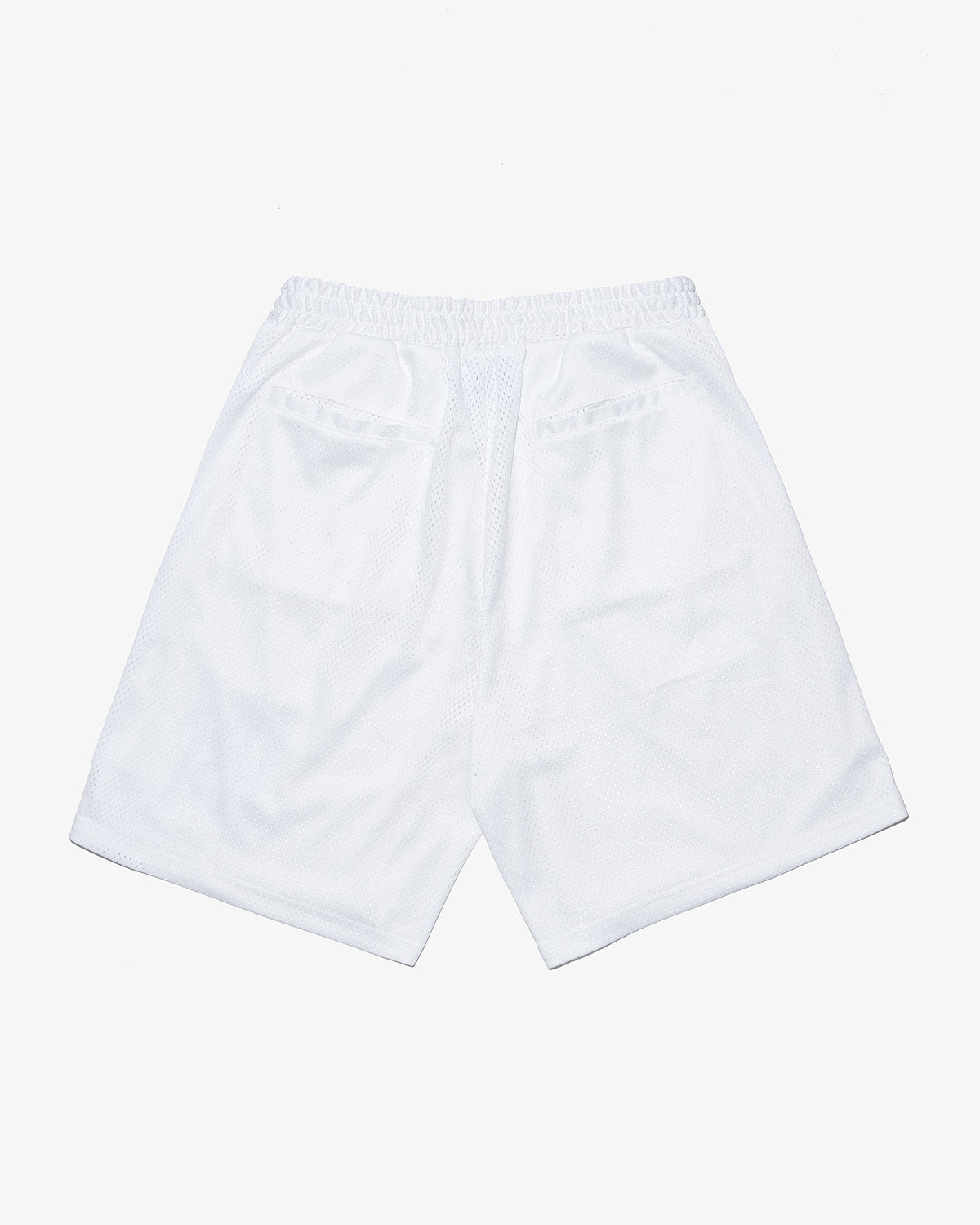 WS MESH SHORTS