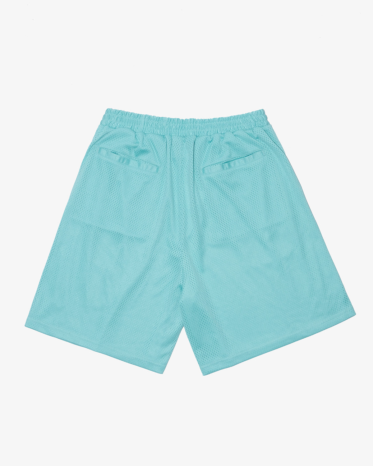 WS MESH SHORTS