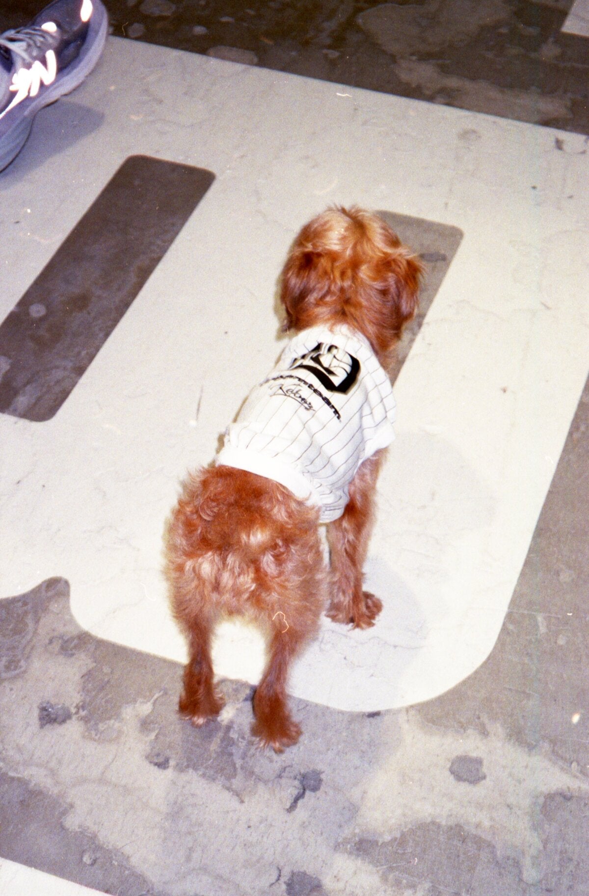 DREAMTEAM × KEBOZ DOG TANKTOP
