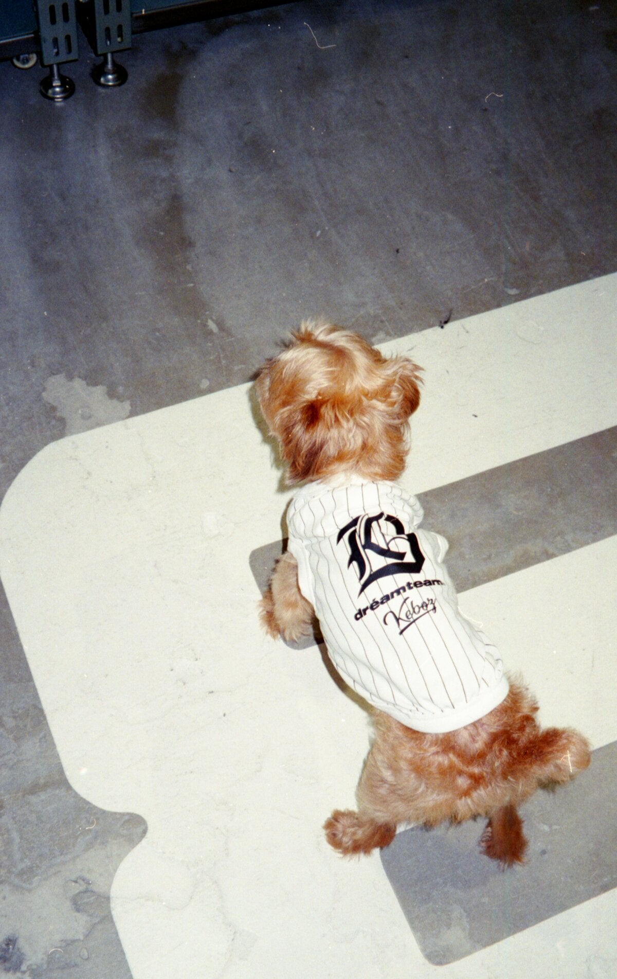 DREAMTEAM × KEBOZ DOG TANKTOP