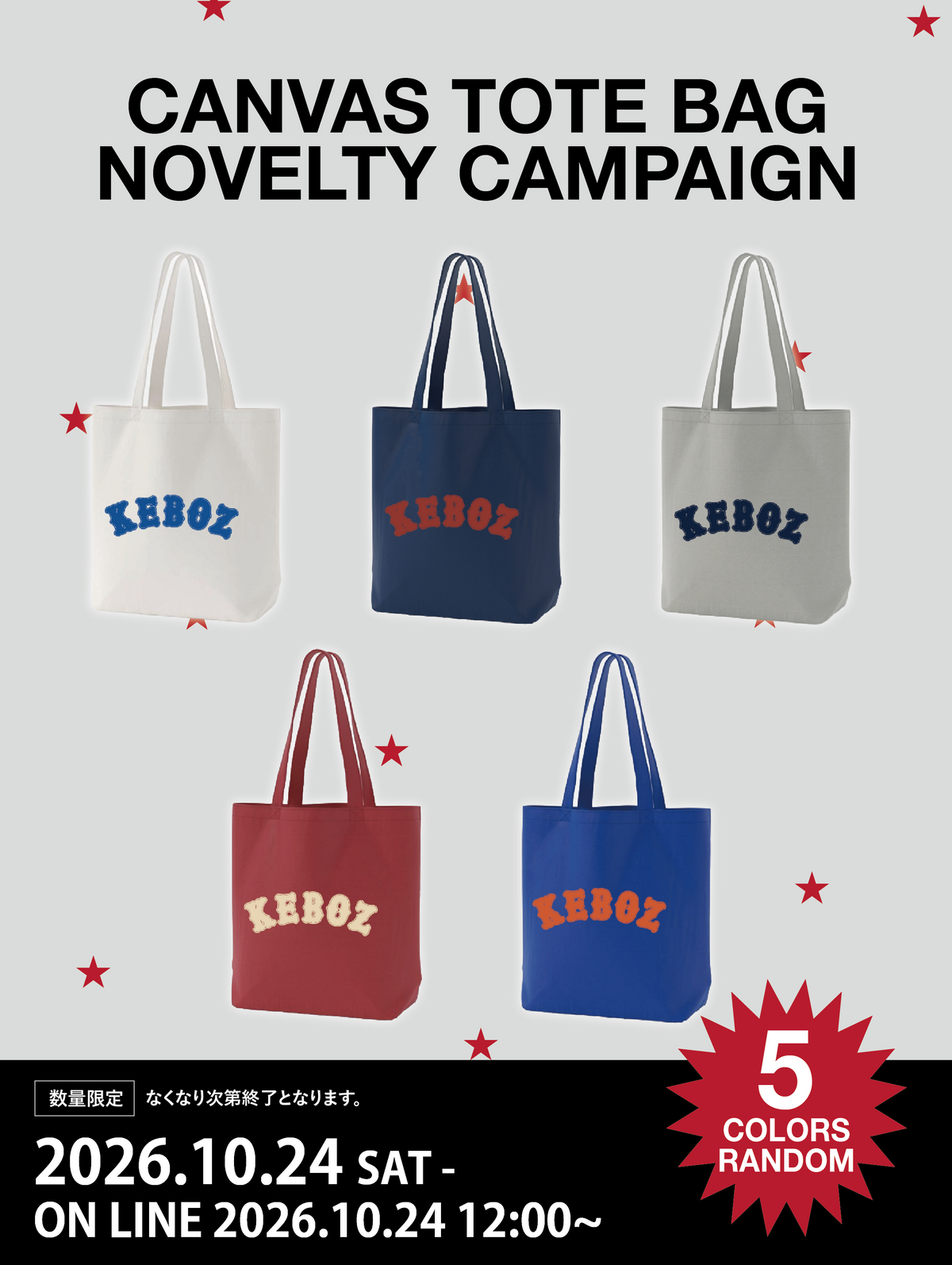 CANVAS TOTE BAG NOVELTY CAMPAIGN