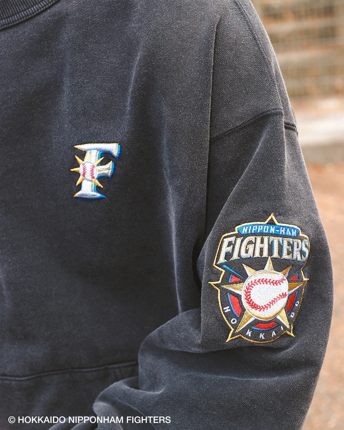 FIGHTERS × KEBOZ OLD F WASHED SWEAT CREWNECK