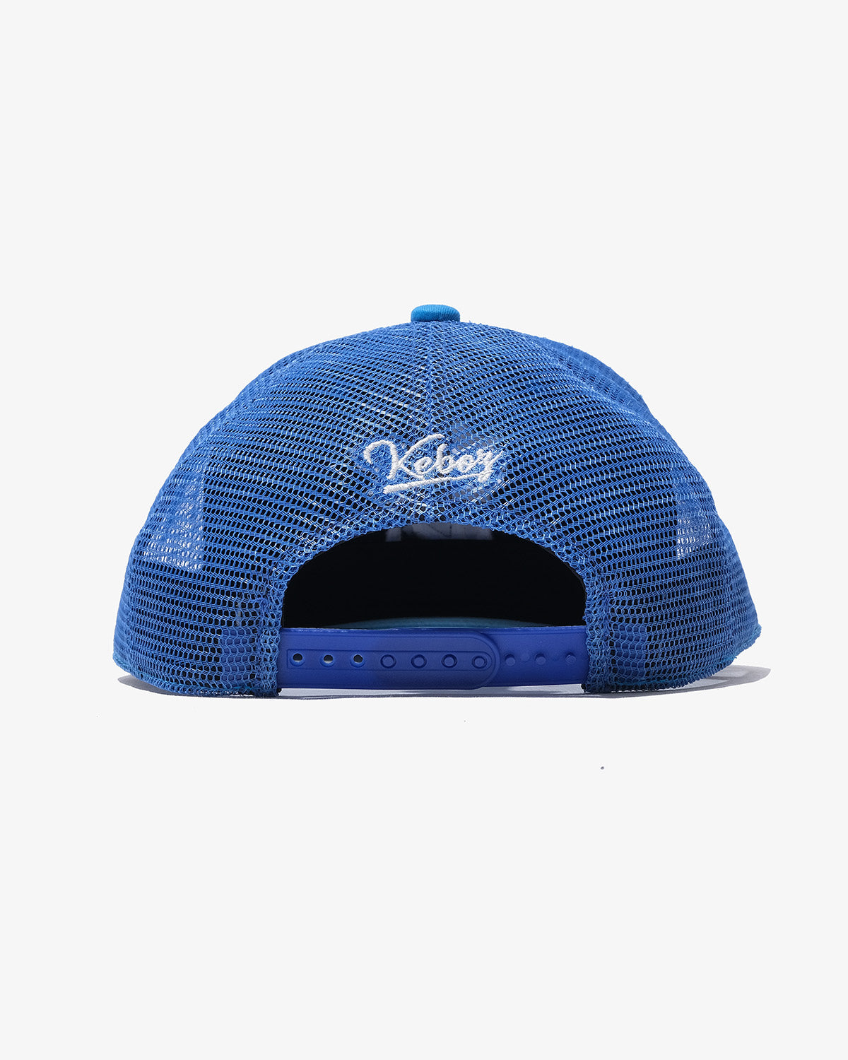 WS MESH CAP