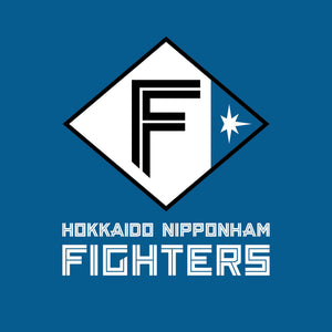 FIGHTERS