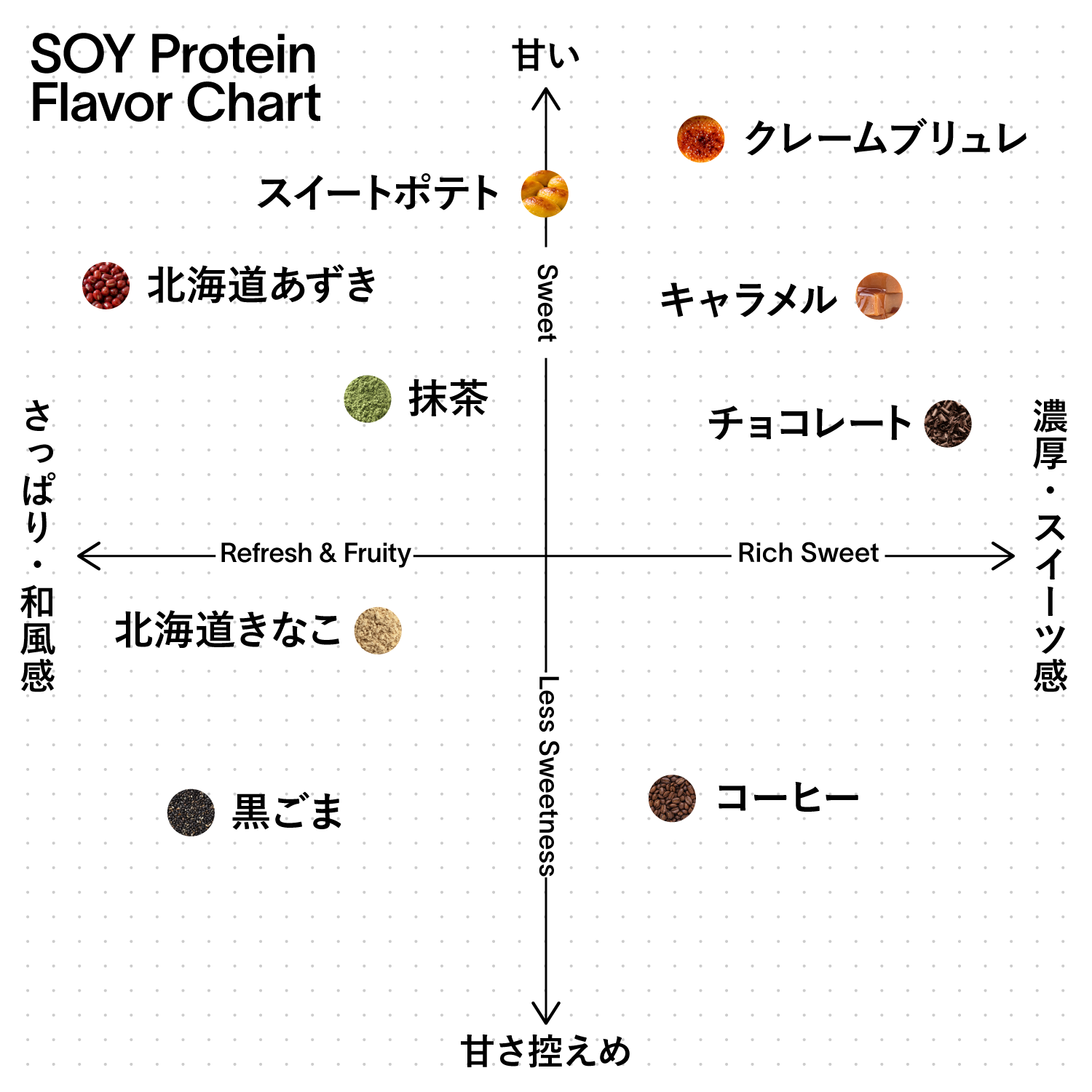 EZOBOLIC ソイプロテイン チョコレート風味