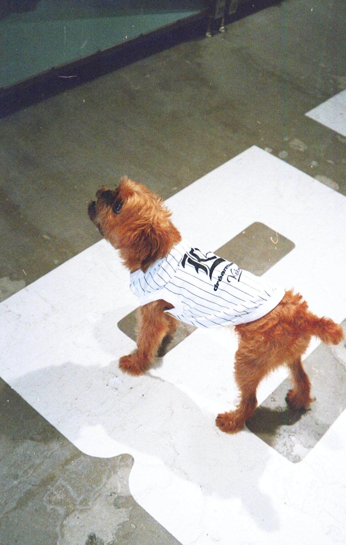 DREAMTEAM × KEBOZ DOG TANKTOP