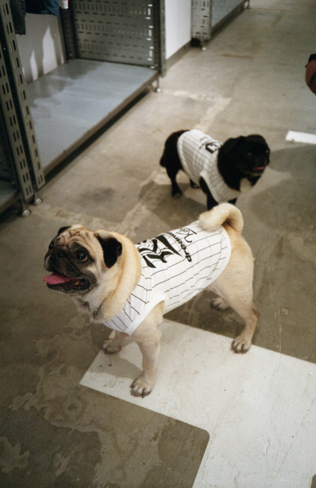 DREAMTEAM × KEBOZ DOG TANKTOP